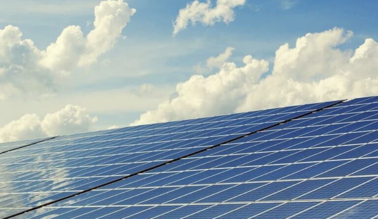 PM: Förderung von Solarenergie auf landwirtschaftlichen Flächen ist eine gute Nachricht für Südbaden